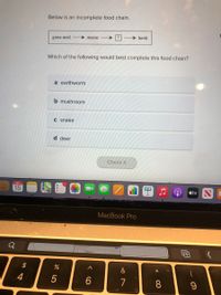 Below is an incomplete food chain.
mouse
→ hawk
grass seed
Which of the following would best complete this food chain?
a earthworm
b mushroom
C snake
d deer
Check It
OCT
15
étv
MacBook Pro
$
&
4
7
8.
