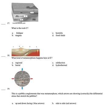 17.
18.
19.
Quartz
sandstone
Limestone
Shale
B
Increasing metamorphic grade
What is the rock C?
a. feldspar
b. magma
Magma
chamber
c. hornfels
d. fossil shale
What kind of metamorphism happens here at C?
a. regional
b. burial
a. up and down facing (blue arrows)
c. subduction
d. hydrothermal
This is a pebble conglomerate that was metamorphose, which arrows are showing (correctly) the differential
stress that stretch the pebbles?
b. side to side (red arrows)