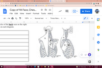 Class Presentation Human Muscle X b My Questions | bartleby
X 9 Anatomy/Physiology: Section 3-0 X
E Copy of 9A Face, Chest, Abdome X
A docs.google.com/document/d/1wCGeTjpq4EtFoJ8thUycGQwBrVhOvBuuEhsEKJm5Nfg/edit
ВЕТА
E Apps
S Home | Schoology
НАС Login
A ap google E english bell ringers E Copy of Unit 5C Ke.
Class Presentation...
Reading list
Copy of 9A Face, Ches...
A Share
File Edit View Insert Format
Tools Add-0
100%
Normal text
Times New...
▼
▼
•..
31
I 2
I 3
I 4
7
8
-cles of the back seen on the right.
on each diagram.
D E
2
osTenion
LATEMAL
>
10:44 AM
O Type here to search
25°F Partly sunny
1/4/2022
...
国
+
