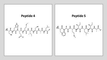 Peptide 4
Peptide 5
H
மகுரிரச்சாள் எழுபதிகோ
SH