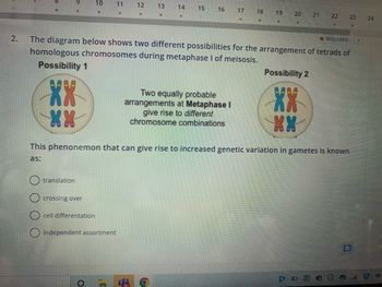 2.
XX
XX
translation
10
crossing over
Ocell differentation
independent assortment
O
11
12
IC
*
13
*
14
6
15
*REQUIRED 1
The diagram below shows two different possibilities for the arrangement of tetrads of
homologous chromosomes during metaphase I of meisosis.
Possibility 1
16 17 18
Two equally probable
arrangements at Metaphase I
give rise to different
chromosome combinations
19
This phenonemon that can give rise to increased genetic variation in gametes is known
as:
20
Possibility 2
XX
XX
21
A
22
23 24