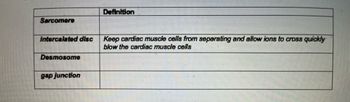 Sarcomere
intercalated disc
Desmosome
gap junction
Definition
Keep cardiac muscle cells from separating and allow ions to cross quickly
blow the cardiac muscle cells