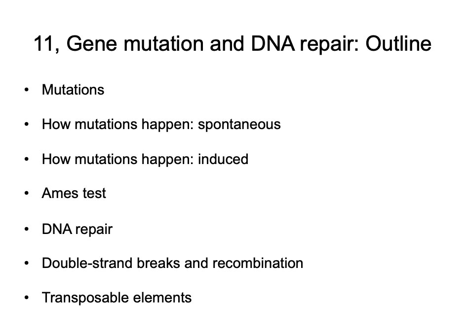 11, Gene mutation and DNA repair: Outline
Mutations
How mutations happen: spontaneous
How mutations happen: induced
Ames test
DNA repair
Double-strand breaks and recombination
Transposable elements
