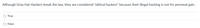 Although Gray Hat Hackers break the law, they are considered "ethical hackers" because their illegal hacking is not for personal gain.
True
False
