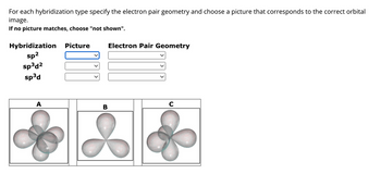 For each hybridization type specify the electron pair geometry and choose a picture that corresponds to the correct orbital
image.
If no picture matches, choose "not shown".
Hybridization
sp²
sp³d2
sp³d
A
Picture
Electron Pair Geometry
C