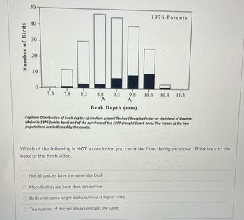 Number of Birds
50
30-
20-
10.
0 F
7.3 7.8
8.3
8.8 9.3 9.8
A
A
Beak Depth (mm)
Caption: Distribution of beak depths of medium ground finches (Geospiza fortis) on the island of Daphne
Major in 1976 (white bars) and of the survivors of the 1977 drought (black bars). The means of the two
populations are indicated by the carets.
Not all species have the same size beak
1976 Parents
Which of the following is NOT a conclusion you can make from the figure above. Think back to the
beak of the finch video.
More finches are born than can survive
10.3 10.8 11.3
Birds with some larger beaks survive at higher rates
The number of finches always remains the same