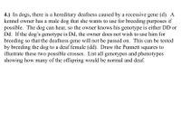 4.) In dogs, there is a hereditary deafness caused by a recessive gene (d). A
kennel owner has a male dog that she wants to use for breeding purposes if
possible. The dog can hear, so the owner knows his genotype is either DD or
Dd. If the dog's genotype is Dd, the owner does not wish to use him for
breeding so that the deafness gene will not be passed on. This can be tested
by breeding the dog to a deaf female (dd). Draw the Punnett squares to
illustrate these two possible crosses. List all genotypes and phenotypes
showing how many of the offspring would be normal and deaf.
