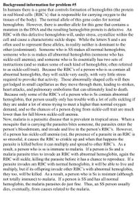 Background information for problem #5
In humans there is a gene that controls formation of hemoglobin (the protein
in red blood cells {RBC's} that is responsible for carrying oxygen to the
tissues of the body). The normal allele of this gene codes for normal
hemoglobin. However, there is another allele for this gene that contains a
mutation in the DNA and the resulting hemoglobin protein is defective. An
RBC with this defective hemoglobin will, under stress, crystallize within the
cell and cause a characteristic sickle shape. While the letters S and s are
often used to represent these alleles, in reality neither is dominant to the
other (codominant). Someone who is SS makes all normal hemoglobin,
someone who is ss makes all abnormal hemoglobin (someone who has
sickle-cell anemia), and someone who is Ss essentially has two sets of
instructions (and so makes some of each kind of hemoglobin; often referred
to as sickle-cell trait). Because the RBC's of a person who is ss contain all
abnormal hemoglobin, they will sickle very easily, with very little stress
required to provoke that activity. Those abnormally shaped cells will then
get lodged in small capillaries as they move through them, leading to strokes,
heart attacks, and pulmonary embolisms that can ultimately lead to death.
Because only some of the RBC's of a person who is Ss contain abnormal
hemoglobin, that person usually only has trouble with a lot of cells sickling if
they are under a lot of stress trying to meet a higher than normal oxygen
demand, and so the chances of a person dying from sickle-cell trait are much
lower than for full blown sickle-cell anemia.
Now, malaria is a parasitic disease that is prevalent in tropical areas. When a
mosquito that is carrying the parasites bites someone, the parasites enter the
person's bloodstream, and invade and live in the person's RBC's. However,
if a person has sickle-cell anemia (ss), the presence of a parasite in an RBC is
so stressful, it causes the RBC to crinkle up and when that happens the
parasite is killed before it can multiply and spread to other RBC's. As a
result, a person who is ss is immune to malaria. If a person is Ss and a
malaria parasite tries to invade an RBC with abnormal hemoglobin, again the
RBC will sickle, killing the parasite before it has a chance to reproduce. If a
parasite invades am RBC with normal hemoglobin, it will be able to live and
multiply, but if its offspring invade other RBC's with abnormal hemoglobin,
they too, will be killed. As a result, a person who is Ss is resistant (although
not totally immune) to malaria. If a person is SS and has all normal
hemoglobin, the malaria parasites do just fine. Thus, an SS person usually
dies, eventually, from causes related to the malaria.
