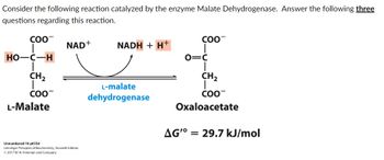 Consider the following reaction catalyzed by the enzyme Malate Dehydrogenase. Answer the following three
questions regarding this reaction.
COO
HO-C-H
CH₂
COO™
L-Malate
NAD+
Unnumbered 16 p633d
Lehninger Principles of Biochemistry, Seventh Edition
© 2017 W. H. Freeman and Company
NADH + H+
L-malate
dehydrogenase
COO™
O=C
CH₂
COO™
Oxaloacetate
AG'° = 29.7 kJ/mol