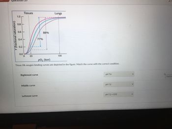 Y (fractional saturation)
1.0
0.8
0.6
0.4
0.2
0.0
Tissues
0 20
77%
Rightmost curve
Middle curve
88%
p0₂ (torr)
Three Hb oxygen binding curves are depicted in the figure. Match the curve with the correct condition.
Leftmost curve
Lungs
100
pH 7.4
pH 7.2
pH 7.2 + CO2
<
2/
Rightmc