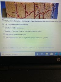 The function of structure 6 is to attach the endosteum to the outer surface of the bon
Tag 5 indicates interstitial lamellae
Structure 7 is the periosteum
Structure 7 is made of dense irregular connective tissue
Structure 3 contains osteocytes
The structures indicated by tag #4 are osteons (Haversian systems)
Click Save and Submit to save and submit. Click Save All Answers to save all answers.
Type here to search
hp
