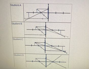 Answered: Students Are Conducting An… | Bartleby