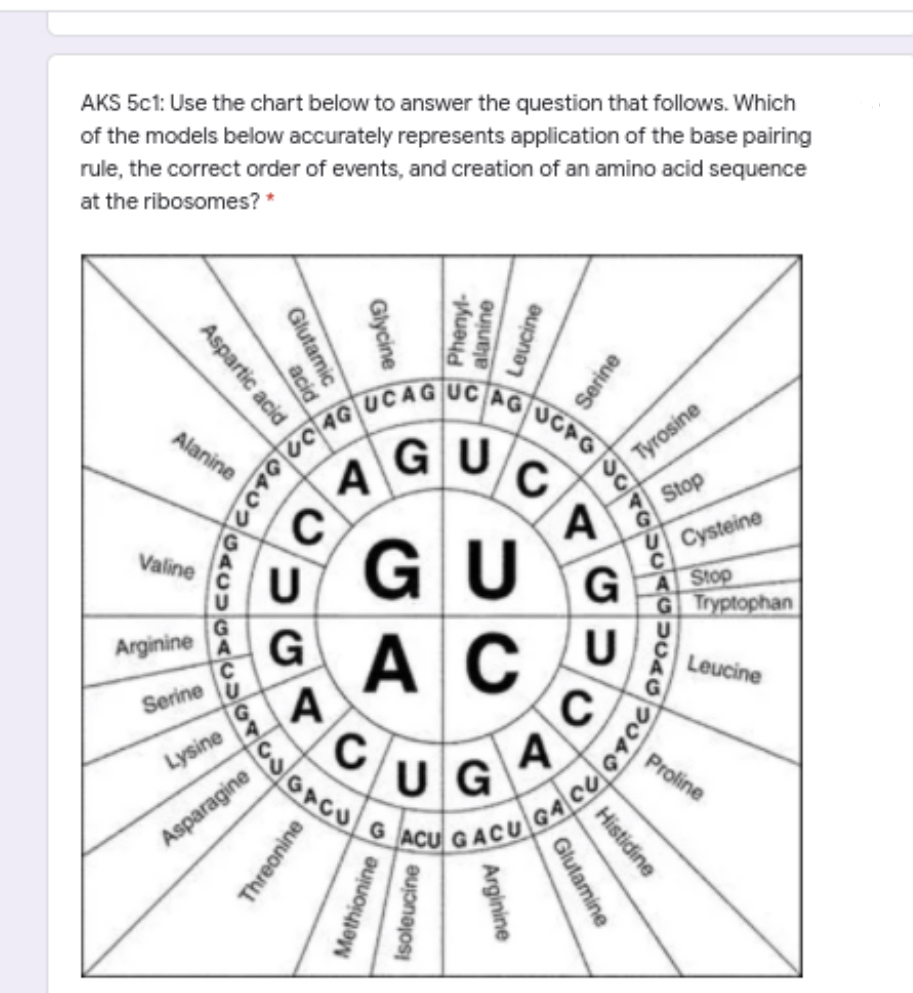 amino acids sequence chart