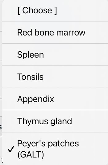 t
[Choose ]
Red bone marrow
Spleen
Tonsils
Appendix
Thymus gland
Peyer's patches
(GALT)