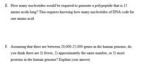 E. How many nucleotides would be required to generate a polypeptide that is 15
amino acids long? This requires knowing how many nucleotides of DNA code for
one amino acid.
F. Assuming that there are between 20,000-25,000 genes in the human genome, do
you think there are 1) fewer, 2) approximately the same number, or 3) more
proteins in the human genome? Explain your answer.
