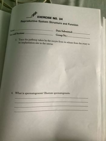 Answered: mitted: Year and Section: 3. Trace the… | bartleby