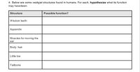 4. Below are some vestigial structures found in humans. For each, hypothesize what its function
may havebeen.
Structure
Possible function?
Wisdom teeth
Appendix
Muscles for moving the
ear
Body hair
Little toe
Tailbone
