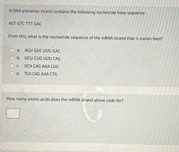 A DNA antisense strand contains the following nucleotide base sequence:
AGT GTC TTT GAC
From this, what is the nucleotide sequence of the mRNA strand that is transcribed?
a. AGU GUC UUU GAC
b.
UCU CUG UUU CAG
UCA CAG AAA CUG
d. TCA CAG AAA CTG
C.
How many amino acids does the mRNA strand above code for? .