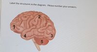 Label the structures in the diagram. Please number your answers.
4
