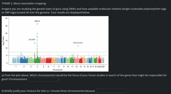 **THEME 2: About association mapping:**

Imagine you are studying the genetic basis of gout using GWAS and have available molecular markers (single nucleotide polymorphism tags or SNP tags) located all over the genome. Your results are displayed below.

*[Image displays a Manhattan plot illustrating the p-values of genetic variants across chromosomes. Each dot represents a SNP, and the y-axis shows the negative logarithm of the p-values (-log10 P-value). Chromosomes are represented on the x-axis, with chromosome 4 having the most significant peaks labeled ABCG2 and SLC2A9, and chromosome 11 having a peak labeled MYL2-CUX2.]*

a) From the plot above, which chromosome/s would be the focus of your future studies in search of the genes that might be responsible for gout? Chromosome/s ______ .

b) Briefly justify your choice/s for item a: I choose those chromosomes because ____________ .