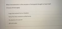 What characteristics is the ancestor of tetrapods thought to have had?
Choose all that apply
O lungs that evolved from air bladders
Ofleshy fins that contained ossified bones
the absence of a sacrum
O gills and scales
