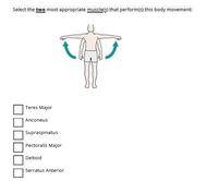 Select the two most appropriate muscle(s) that perform(s) this body movement:
Teres Major
Anconeus
Supraspinatus
Pectoralis Major
Deltoid
Serratus Anterior
