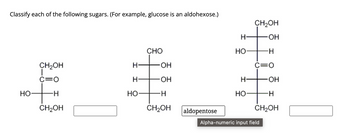 Classify each of the following sugars. (For example, glucose is an aldohexose.)
HO
CH₂OH
|
C=O
+H
-H
CH₂OH
H
H
HO
CHO
OH
-OH
-H
CH₂OH
aldopentose
H-
‡
-H
HO
CH₂OH
H-
C=O
#
-H
CH₂OH
HO
-OH
Alpha-numeric input field
-OH