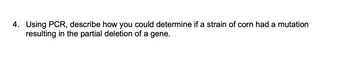 4. Using PCR, describe how you could determine if a strain of corn had a mutation
resulting in the partial deletion of a gene.