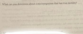 What can you determine about a microorganism that has true motility?
W
4?