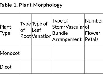 Table 1. Plant Morphology
Plant
Type
Monocot
Dicot
Type Type of
of Leaf
Root Venation
Number
of
Bundle
Flower
Arrangement Petals
Type of
Stem/Vascular