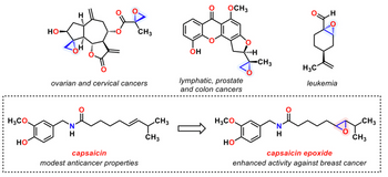 H3CO.
CH3
ကိုယ်ပုံ
OH
HO
HO
ovarian and cervical cancers
CH3
OCH3
CH3
lymphatic, prostate
and colon cancers
H3CO
gogling goghing
`N
H
H
capsaicin
capsaicin epoxide
enhanced activity against breast cancer
modest anticancer properties
H
HO
CH3
H3C
H
leukemia
CH3
CH3