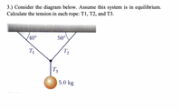 3.) Consider the diagram below. Assume this system is in equilibrium.
Calculate the tension in each rope: T1, T2, and T3.
40°
50°
T2
T3
5.0 kg
