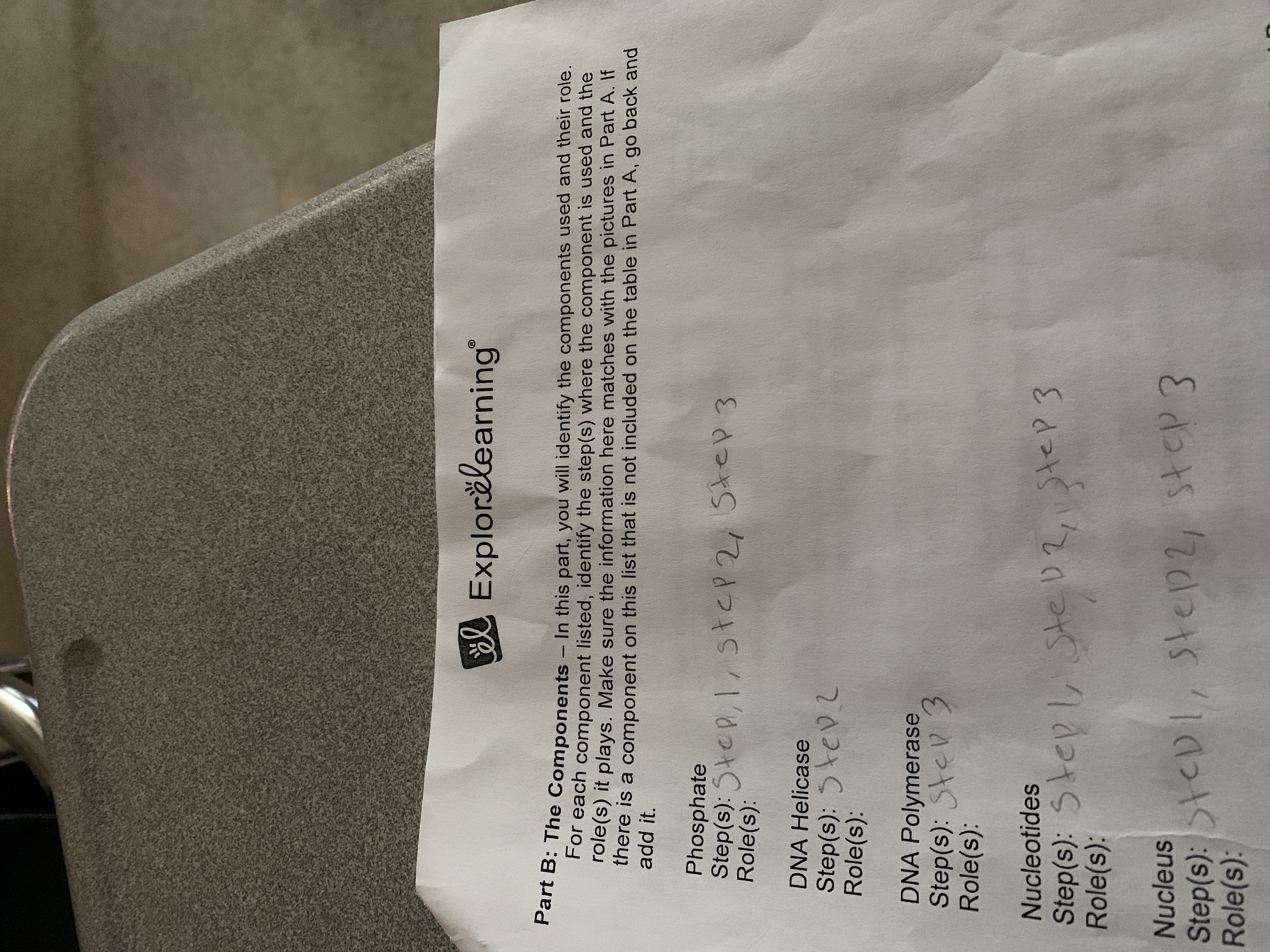 **ExploreLearning**

**Part B: The Components**

In this part, you will identify the components used and their role. For each component listed, identify the step(s) where the component is used and the role(s) it plays. Make sure the information here matches the pictures in Part A. If there is a component on this list that is not included on the table in Part A, go back and add it.

**Phosphate**
- Step(s): Step 1, Step 2, Step 3
- Role(s):

**DNA Helicase**
- Step(s): Step 2
- Role(s):

**DNA Polymerase**
- Step(s): Step 3
- Role(s):

**Nucleotides**
- Step(s): Step 1, Step 2, Step 3
- Role(s):

**Nucleus**
- Step(s): Step 1, Step 2, Step 3
- Role(s):
