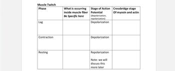 Muscle Twitch
Phase
Lag
What is occurring
inside muscle fiber
Be Specific here
Stage of Action
Potential
(depolarization,
repolarization)
Depolarization
Crossbridge stage
Of myosin and actin
Contraction
Depolarization
Resting
Repolarization
Note: we will
discuss this
more later