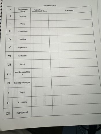 #
-
=
|||
=
Cranial Nerve
Name
Olfactory
Optic
Oculomotor
IV
Trochlear
V
Trigeminal
VI
Abducens
VII
Facial
Vestibulocochlea
VIII
r
IX
Glossopharyngeal
X
Vagus
XI
Accessory
XII
Hypoglossal
Cranial Nerve Chart
Type of nerve
(sensory, motor or mixed)
arpal
Function(s)