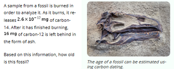 A sample from a fossil is burned in
order to analyze it. As it burns, it re-
leases 2.6 x 10-¹2 mg of carbon-
14. After it has finished burning,
16 mg of carbon-12 is left behind in
the form of ash.
Based on this information, how old
is this fossil?
JU
The age of a fossil can be estimated us-
ing carbon dating.