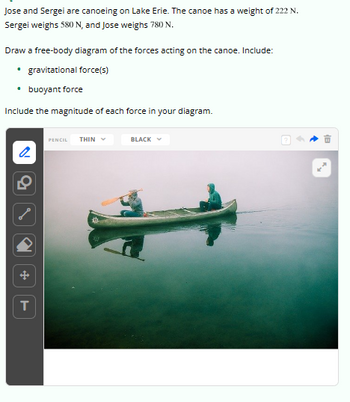 Jose and Sergei are canoeing on Lake Erie. The canoe has a weight of 222 N.
Sergei weighs 580 N, and Jose weighs 780 N.
Draw a free-body diagram of the forces acting on the canoe. Include:
• gravitational force(s)
• buoyant force
Include the magnitude of each force in your diagram.
N
T
PENCIL THIN
BLACK
8)
B