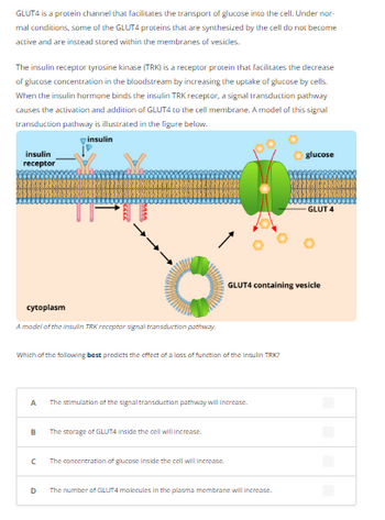 Answered: GLUT4 is a protein channel that… | bartleby