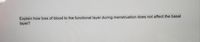 Explain how loss of blood to the functional layer during menstruation does not affect the basal
layer?
