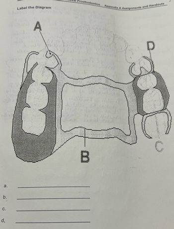 Answered: A B D C | Bartleby