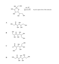 но
OH
cat. H*
но.
Асуclie (open) form of this molecule
Но
Но
он
A
OH
HO.
HO,
ÓH
OH
OH
B
OH
OH
OH
OH
HO.
HO
OH
C
H.
HO.
OH
но
Но
он
OH
D
Но
ÓH
OH
