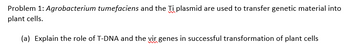 Problem 1: Agrobacterium tumefaciens and the Ti plasmid are used to transfer genetic material into
plant cells.
(a) Explain the role of T-DNA and the vir genes in successful transformation of plant cells