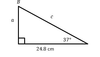 a
37°
24.8 cm
