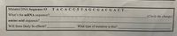 Mutated DNA Sequence #3
TACAC CT TAG C GACGACT...
What's the mRNA sequence?
(Circle the change)
amino acid sequence?
Will there likely be effects?
What type of mutation is this?
