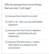 Why do sponges have to eat things
that are only 1 cell large?
O because their mouth is so small
that's a lie - they can eat multicellular
organisms
O because they don't have a digestive
system - each feeding cell eats
individually
because they don't have a coelom -
their organs are exposed to the
environment
