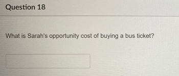 Question 18
What is Sarah's opportunity cost of buying a bus ticket?