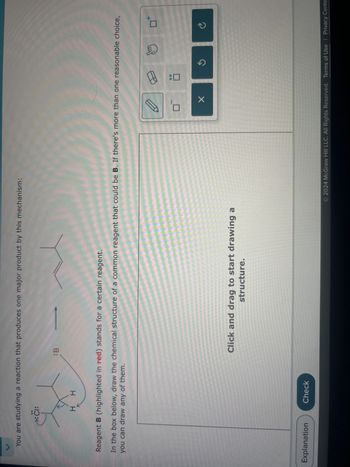 You are studying a reaction that produces one major product by this mechanism:
CI:
H H
:B
Reagent B (highlighted in red) stands for a certain reagent.
In the box below, draw the chemical structure of a common reagent that could be B. If there's more than one reasonable choice,
you can draw any of them.
Explanation
Check
Click and drag to start drawing a
structure.
田
X
$
C
टे
+
© 2024 McGraw Hill LLC. All Rights Reserved. Terms of Use | Privacy Cente