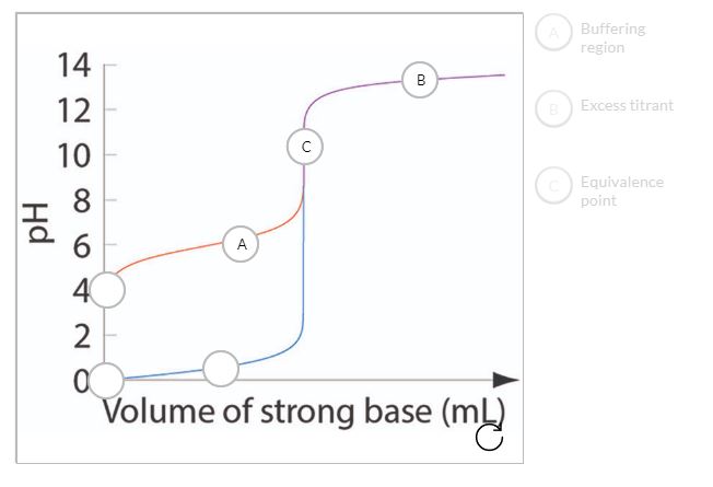 Answered: A Buffering Region 14 12 B Excess… | Bartleby