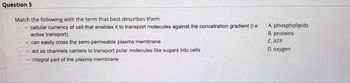 Question 5
Match the following with the term that best describes them
✓cellular currency of cell that enables it to transport molecules against the concetration gradient (i.e
active transport)
✓can easily cross the semi-permeable plasma membrane
✓act as channels carriers to transport polar molecules like sugars into cells
integral part of the plasma membrane
A. phospholipids
B. proteins
C. ATP
D. oxygen