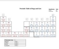 Periodic Table of Dogs and Cats
Classification
metals
nonmetals
Color
red
blue
1
8
Be
bellium
2
3
4
7
chloe
2.45
4.22
R
Bd
Са
Lu
rockium
buddium
tiger
callie
lucy
62.55
oliver
sophie
30.47
32.66
45.00 56.23
67.80
68.99
Sc
Br
Lo
Da
Mi
Sm
K
Le
smokey
kitty
86.33
bearium
lolaium
daisium
milo
scamps
leonard
70.25
73.05
76.88 80.20 83.07
88.90
90.45
То
Мо
Ro
J
Ма
L
Si
Ch
tobium
mollium
romeomium
jackium
maxium
leo
simba
bew
charlium
100.35
103.09
108.42
110.03 112.42
115.00 117.23 | 120.33 | 125.04
Polyatomic Ions
tigerate
calliate
ТОз 2-
Ca04 3-
Lu04 2-
Sc03 1-
lucate
scampate
